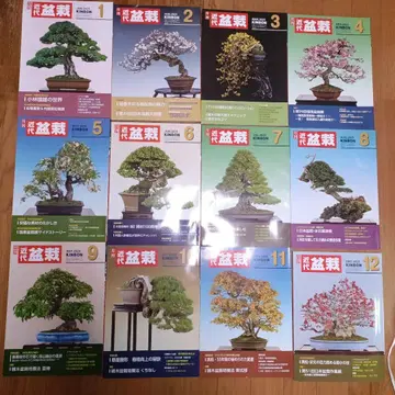 근대 분재 2025년 1월~12월호 세트