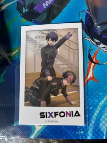 시크포니 랜덤 폴라로이드풍 카드 이루마 LAN 회장 선행