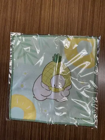 친구는 곰 시원한 손수건