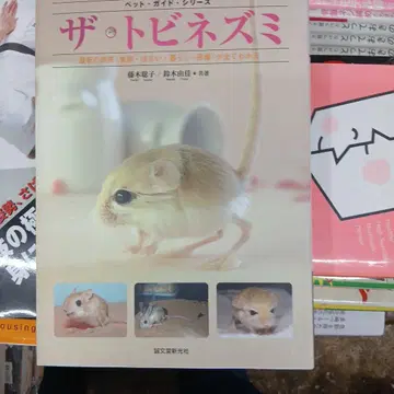 더 날쥐 DVD 포함