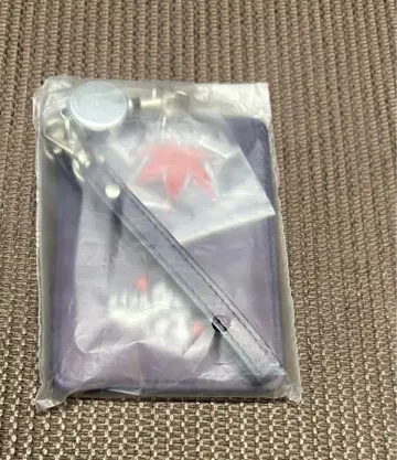 메이플스토리 메이포 오프라인 이벤트 배포물 입장 혜택 패스 케이스