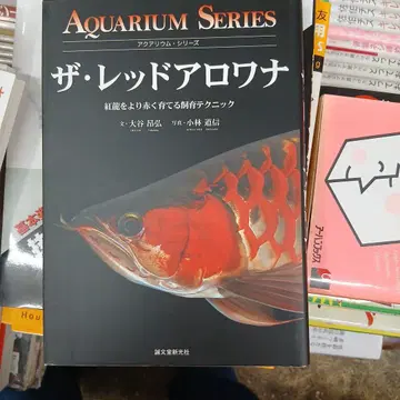 더 레드 아로와나 AQUARIUM SERIES