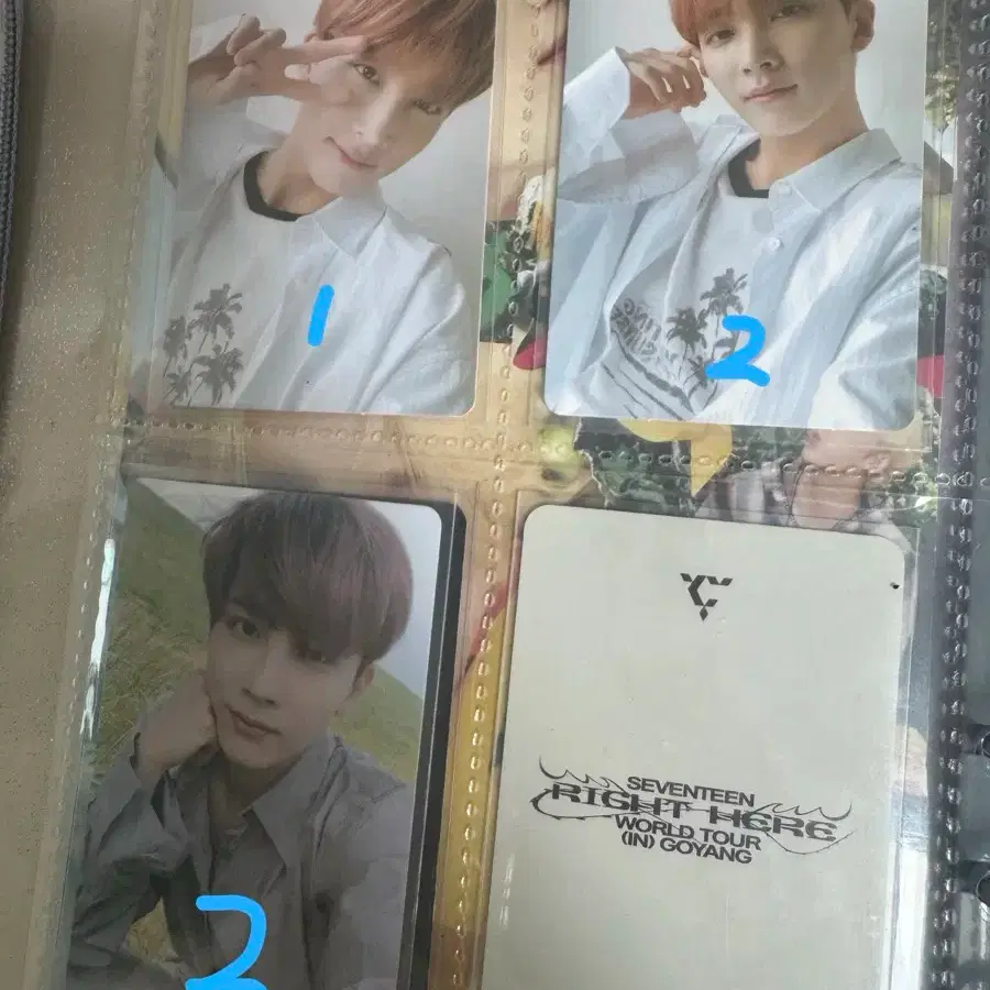 Seventeen Oh My! Home Yoon Jeonghan Poca (Individual sale possible)