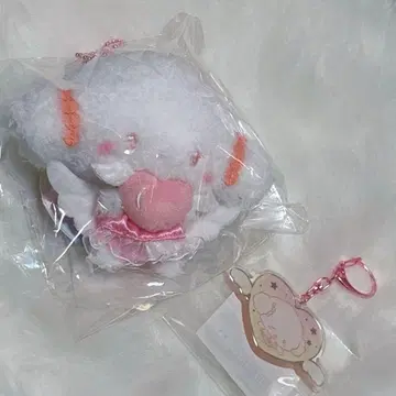 무뉴 파티오 코기뮨 엔젤 시리즈 묶음 판매