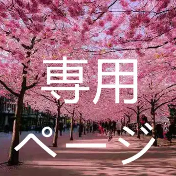 봄란만 DVD 4매 세트