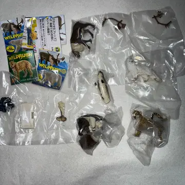 카이요도 와일드 러쉬 세계 동물지 북극권 아마존 캡슐 토이 가챠