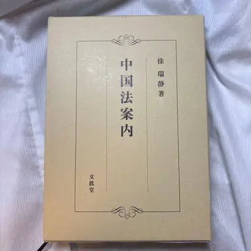 중국 법 안내 서서정 저