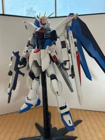 MG 프리덤 건담 설명문 확인해주세요