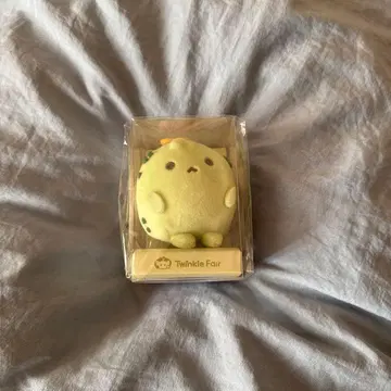 연애와 심공 miniso 선인장