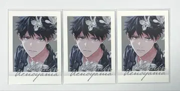 기븐전 파샤코레 컬러 리츠카