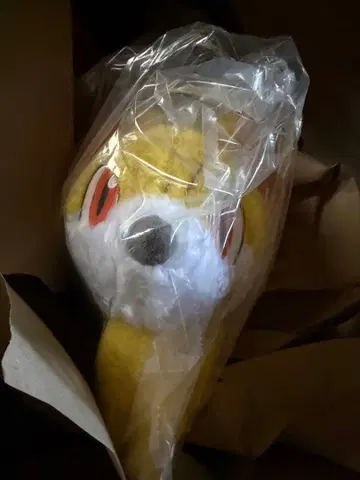 포켓몬스터 리자드 파이어로 봉제 인형