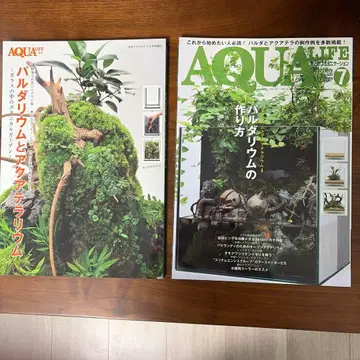 팔루다리움과 아쿠아 테라리움 2021년 2월호