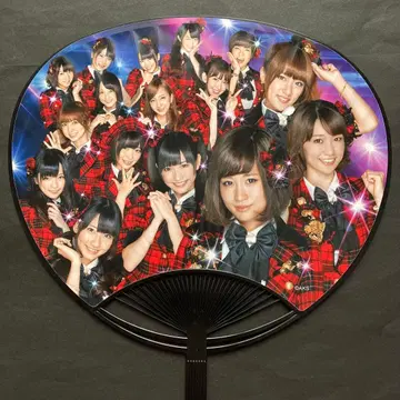 미사용 AKB48 팀 서프라이즈 중력 공감 부채
