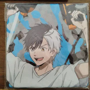 WIND BREAKER 세가 럭키 쿠지 B상 비주얼 타월 벚꽃 하루카