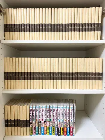 원피스 코믹스 1~93권 (단, 46권 제외), 덤으로 천권