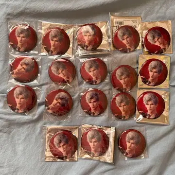 스이파라 신 캔뱃지 세트