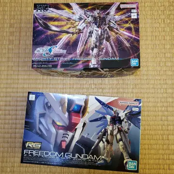 건담 프라모델 프리덤 RG 마이프리 HG