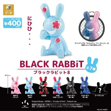 BLACK RABBiT 8 시크릿 포함 7종