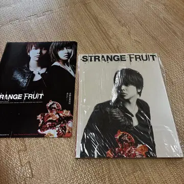 마스다 타카히사 STRANGE FRUIT 팜플렛과 전단지