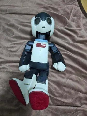 Robi 로비 정크제품