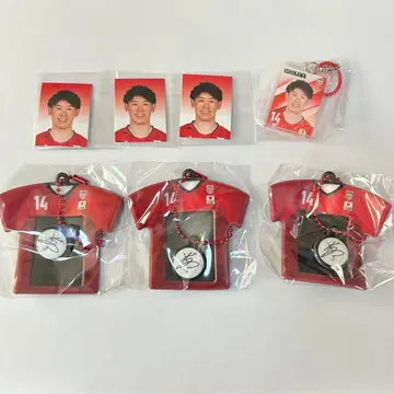 배구 남자 일본 대표 이시카와 유키 가챠 메지루시 참 미니 사진 홀더