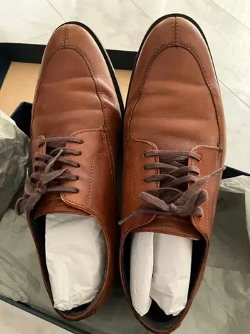 콜한 비즈니스 슈즈