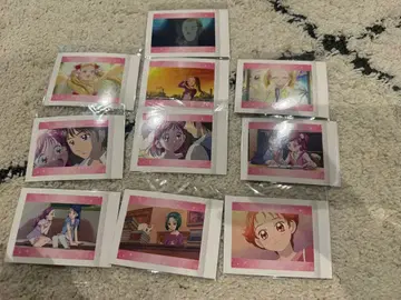 프리큐어 파샤코레