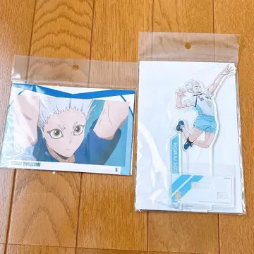 하이큐 호시우미 코라이 아크릴 스탠드