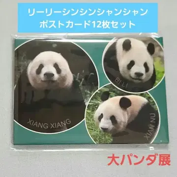 샹샹 리리 신신 엽서 12장 세트 대팬더전