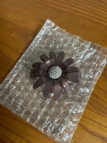 알렉상드르 주아리 ALEXANDRE ZOUARI 헤어핀