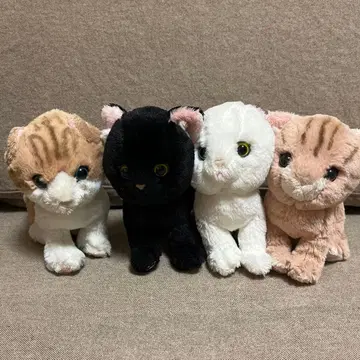 선레몬 봉제 인형 고양이 묶음 판매