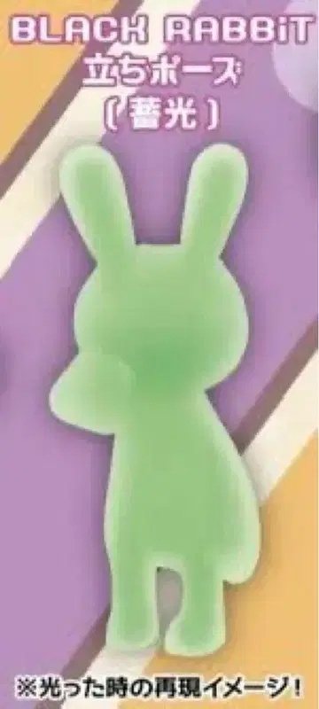 BLACK RABBIT 서서 앉는 버전