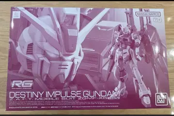 RG 데스티니 임펄스 건담