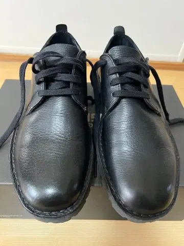 Clark's DESERT ROCK LO