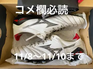 [ 기간 한정 게재 ] 모렐리아 네오 4