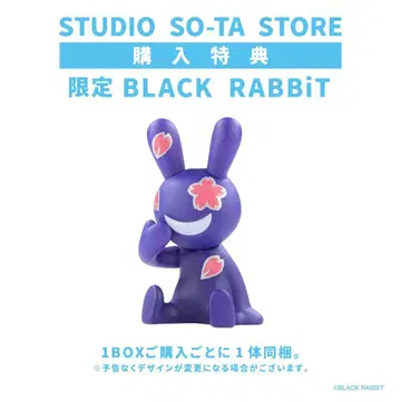 BLACK RABBiT 한정판 피규어 덤 세트