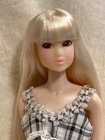 Wake-Up momoko 아키하바라 아존 한정판 세키구치