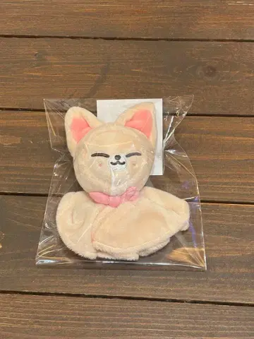 StrayKids 스키즈 dominATE I.N 폭시니 백참