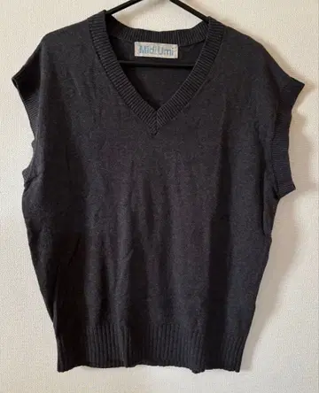 MIDIUMI (미디우미) V넥 니트 베스트
