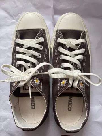 CONVERSE 올스타 데이지즈 OX