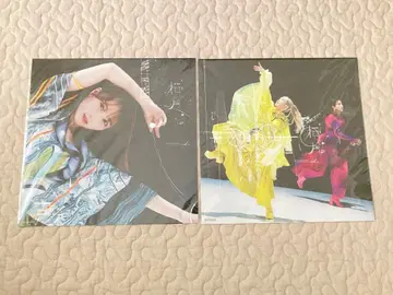 사쿠라자카 메가 재킷 사쿠라즈키