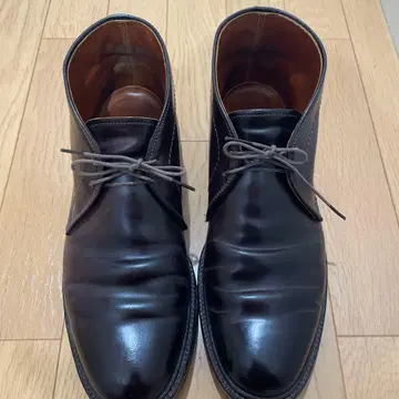 Alden 1339 8.5B 코도반 처카