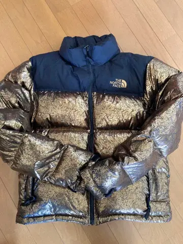 THE NORTH FACE 눕시 자켓