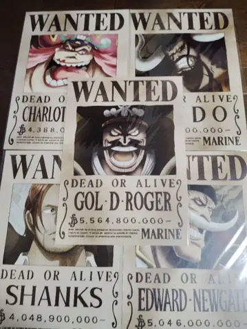 원피스 해군 발행 공식 수배서 구 사황 + 로저