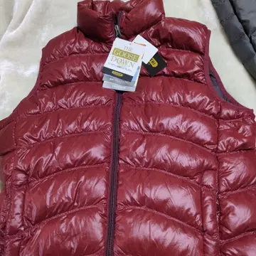 다운 베스트 버건디