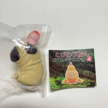 코비토즈칸 오스와리 마스코트 4 시크릿