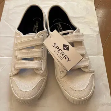 Sperry 화이트 스니커즈 벨크로