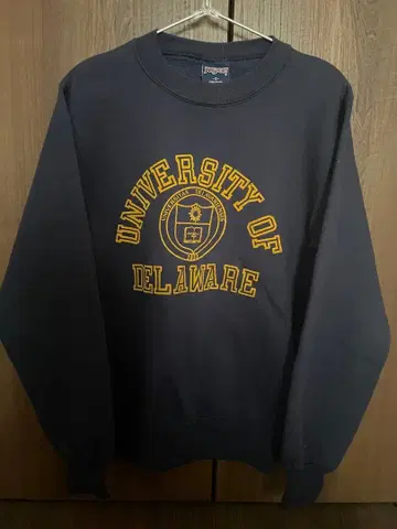 Jansport University of Delaware 맨투맨