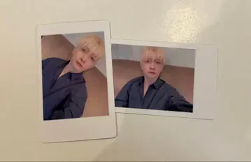 3 팬더 드래곤 파라곤 하피카 폴라로이드 요우타