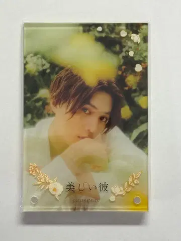 야기 유세이 아크릴 섀도우 박스 아름다운 그